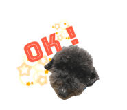 519061927