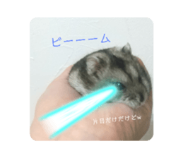 519119874