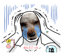 519206310