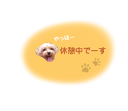 519276577