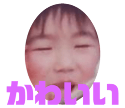 519369243