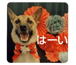 519465014