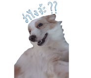 519477051