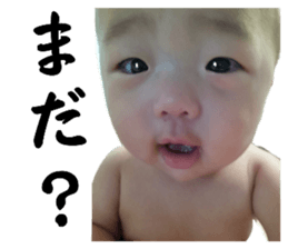 519514703