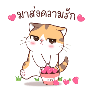 สอยดาวไงจะใครล่ะ 6 รูปที่ 1