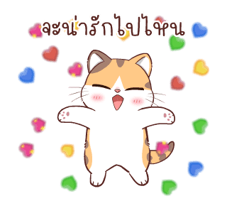 สอยดาวไงจะใครล่ะ 6 รูปที่ 4