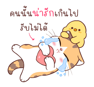 สอยดาวไงจะใครล่ะ 6 รูปที่ 5