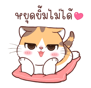 สอยดาวไงจะใครล่ะ 6 รูปที่ 6