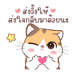 สอยดาวไงจะใครล่ะ 6 รูปที่ 7