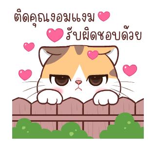 สอยดาวไงจะใครล่ะ 6 รูปที่ 13