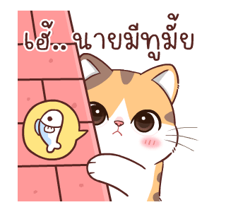 สอยดาวไงจะใครล่ะ 6 รูปที่ 15