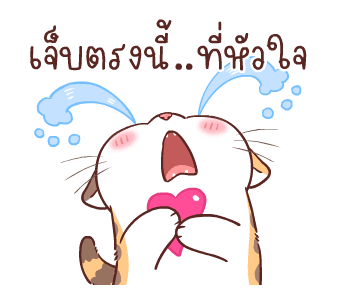 สอยดาวไงจะใครล่ะ 6 รูปที่ 19