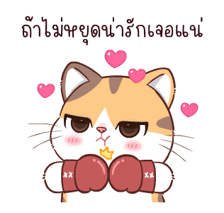 สอยดาวไงจะใครล่ะ 6 รูปที่ 21
