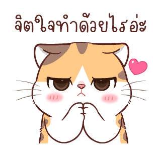 สอยดาวไงจะใครล่ะ 6 รูปที่ 23
