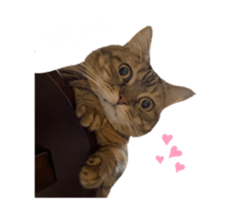 519550139
