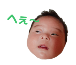 519565543