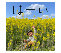 519565555