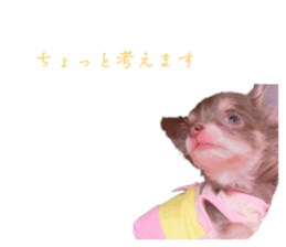 519603082