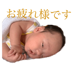 519638040