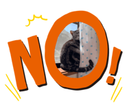 519685306