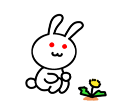 5197557