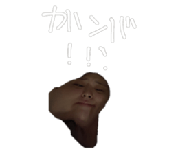 519773993
