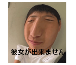 519786833