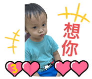 519801139