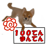 519818623