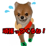 519818628