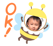 519843542