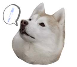 520000349