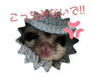 520030694