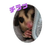520030698