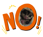 520030700