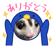 520030704