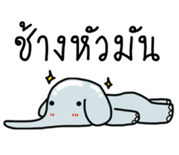 ลายที่ 13