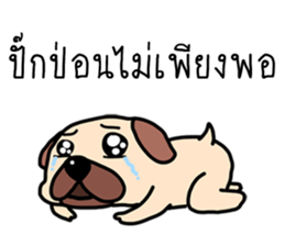 ลายที่ 15