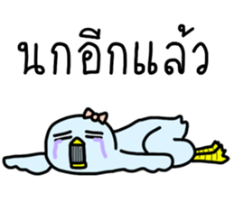 ลายที่ 17