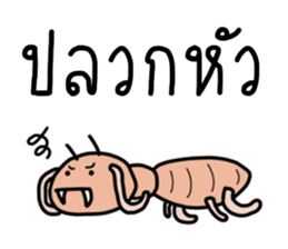 ลายที่ 19