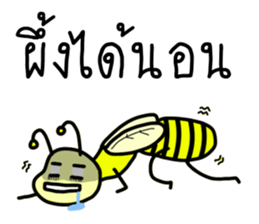 ลายที่ 21