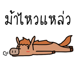 ลายที่ 25