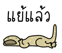 ลายที่ 27