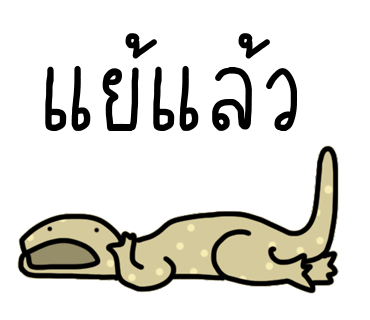 ลายที่ 14