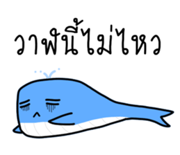 ลายที่ 31