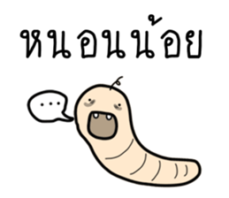 ลายที่ 33