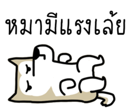 ลายที่ 37