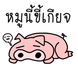 ลายที่ 41