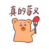 520035376