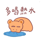 520035394